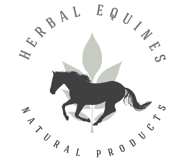 Herbal Equines
